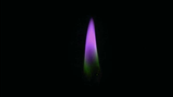黑色屏幕上的动画紫色烛焰隔离 — 图库视频影像