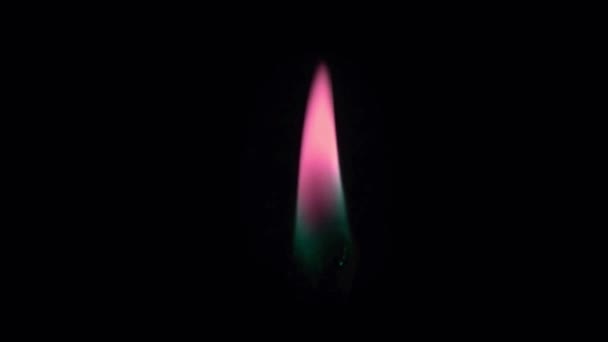 黑色荧幕上的动画粉红烛焰隔离 — 图库视频影像