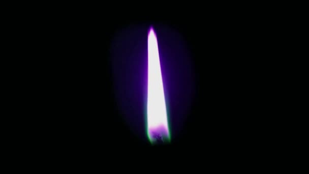 Фиолетовый Анимационный Огонь Свечи Изолировать Черном Экране — стоковое видео