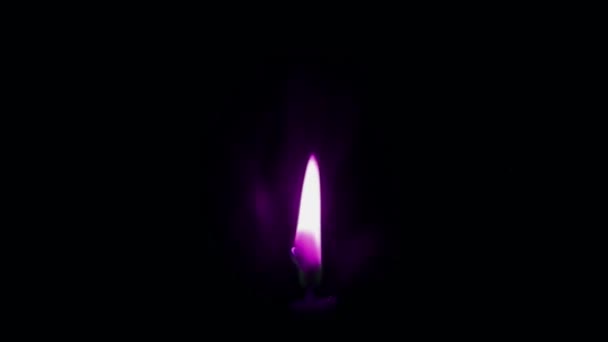 Animație Violet Lumânare Flacără Izolat Ecran Negru — Videoclip de stoc