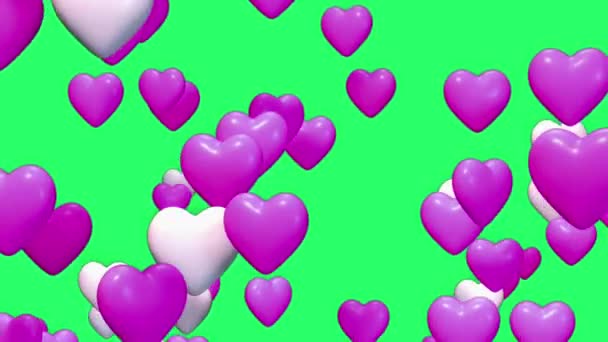 緑の画面に浮かぶアニメーション紫色のハート型 — ストック動画