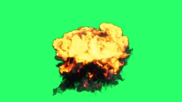Animation Flames Fire Bombs Effects Isolate Green Screen — Stock video