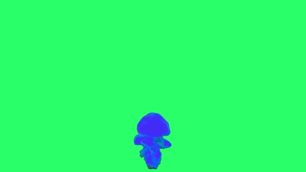 Анімація Синього Полум Ефекти Вогню Ізольовані Зеленому Екрані — стокове відео