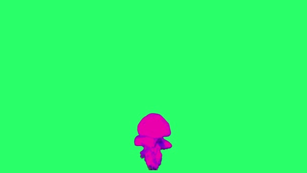 Анимация Фиолетовые Огненные Бомбы Эффекты Пламени Изолировать Зеленом Экране — стоковое видео