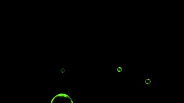 Animation green water bubbles floating on black background. 