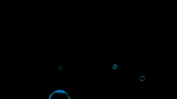 Animation Blue Water Bubbles Floating Black Background — стоковое видео