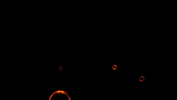 Animation Orange Water Bubbles Floating Black Background — kuvapankkivideo