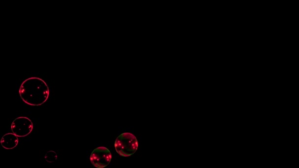 Animation Red Water Bubbles Floating Black Background — стоковое видео