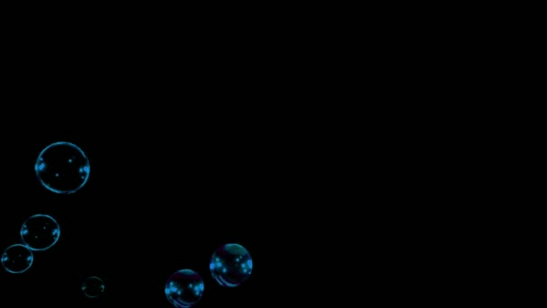 Animation Blue Water Bubbles Floating Black Background — стоковое видео