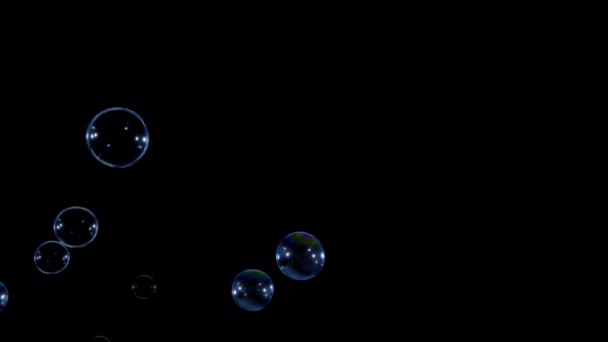 Animation Blue Water Bubbles Floating Black Background — Stockvideo