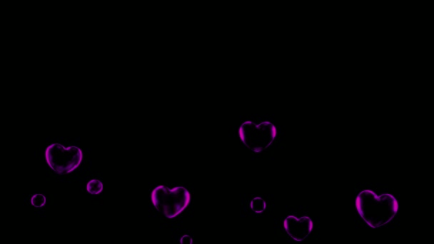 Animation Purple Water Bubbles Floating Black Background — Video