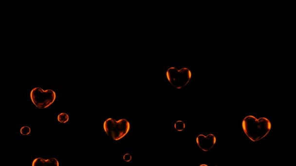 Animation Water Bubbles Floating Black Background — kuvapankkivideo
