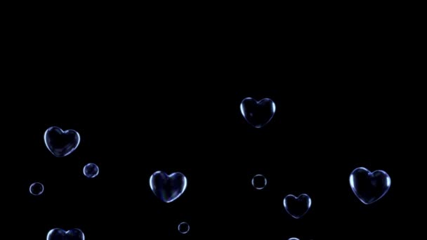 Animation Water Bubbles Floating Black Background — Stock video