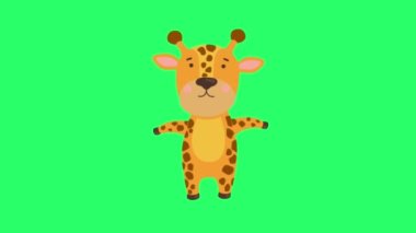 Animation giraffe isolate on green screen.