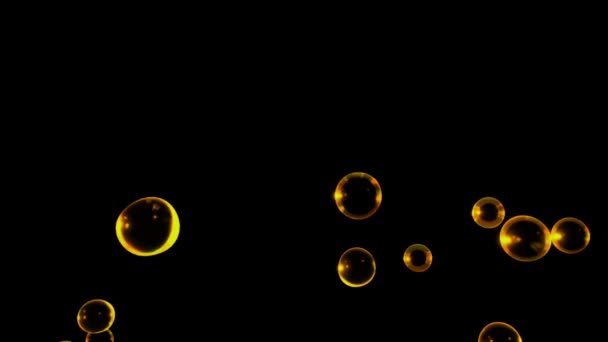 Animation Water Bubbles Floating Black Background — Video