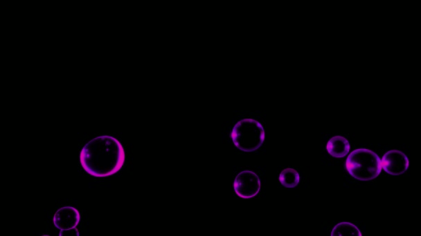 Animation Water Bubbles Floating Black Background — Stock videók