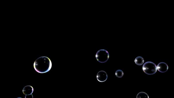 Animation Water Bubbles Floating Black Background — Αρχείο Βίντεο
