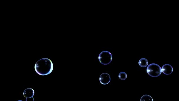 Animation Water Bubbles Floating Black Background — Videoclip de stoc