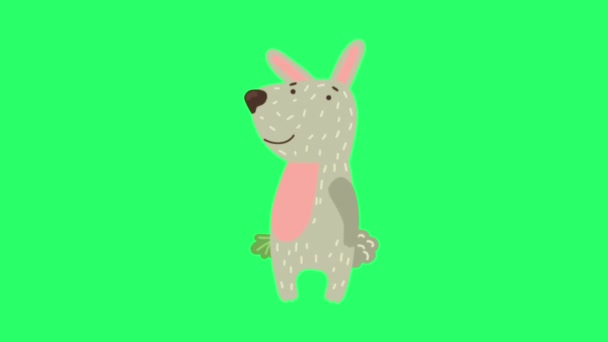 Animation Rabbit Isolate Green Screen — Vídeos de Stock