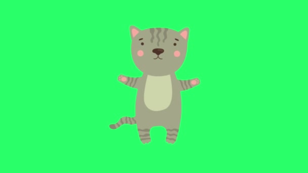 Animation Cat Isolate Green Screen — Vídeos de Stock