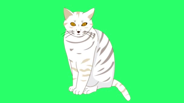 Animation White Cat Isolate Green Screen — Stockvideo