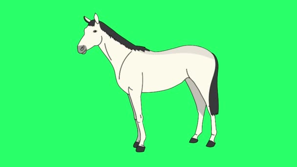 Animation Horse Isolate Green Screen — Stok video