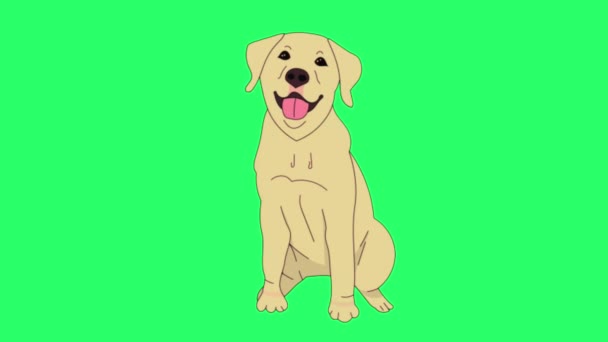 Animation Dog Isolate Green Screen — Stockvideo