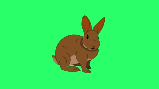 Animation Rabbit Isolate Green Screen — стоковое видео