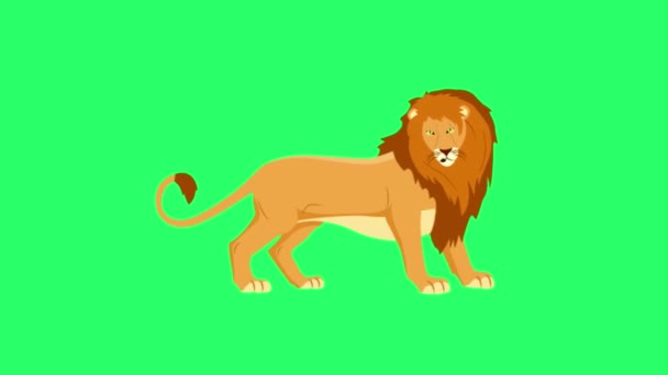 Animation Lion Isolate Green Screen — Vídeos de Stock