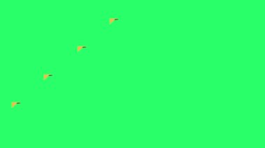 Animation black and yellow space bar 5 step for infographic timeline template on green background.