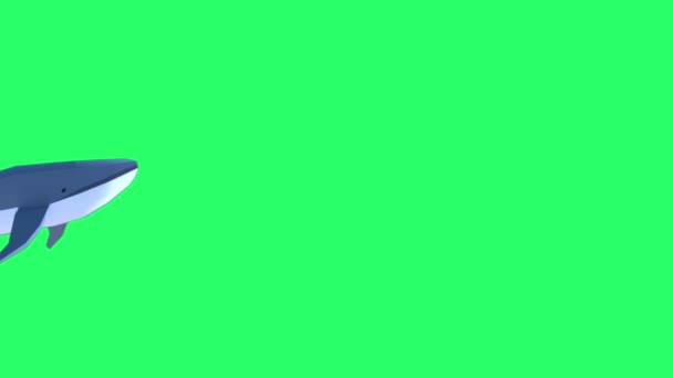 Animación Ballena Aislar Pantalla Verde — Vídeo de stock