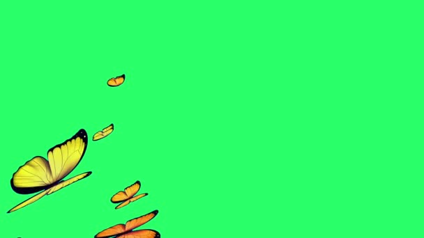 Animation Orange Schmetterling Fliegt Auf Grünem Hintergrund — Stockvideo