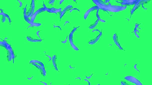 緑の背景に浮かぶ青い羽根 — ストック動画