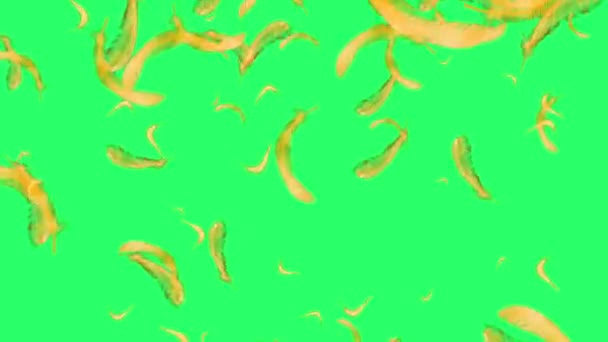 Yeşil Arkaplanda Yüzen Animasyon Sarı Tüy — Stok video