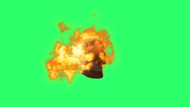 緑の背景にアニメーション燃焼頭蓋骨 — ストック動画