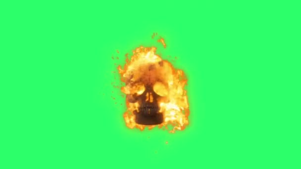 緑の背景にアニメーション燃焼頭蓋骨 — ストック動画
