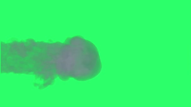 Animation Schwarzer Rauch Auf Grünem Hintergrund — Stockvideo