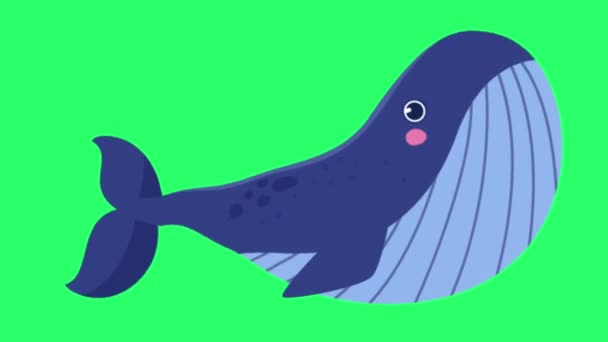 Animación Azul Ballena Aislar Pantalla Verde — Vídeos de Stock