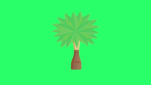 Animationsbaum Isoliert Auf Grünem Hintergrund — Stockvideo