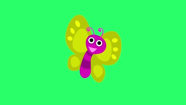 Animáció Aranyos Pillangó Zöld Háttér — Stock videók