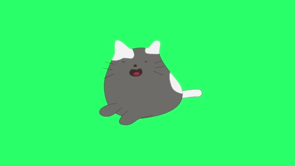 Animación Actividad Lindo Gato Verde Fondo — Vídeos de Stock
