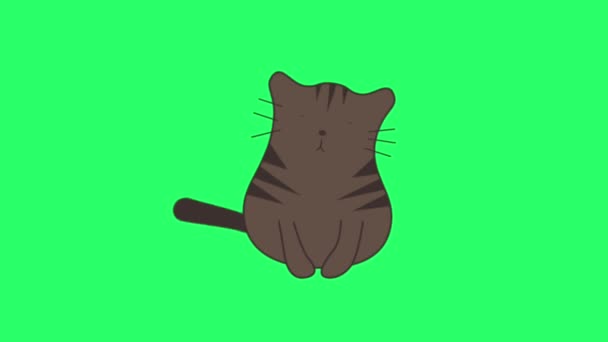 Animazione Attività Carino Gatto Sfondo Verde — Video Stock