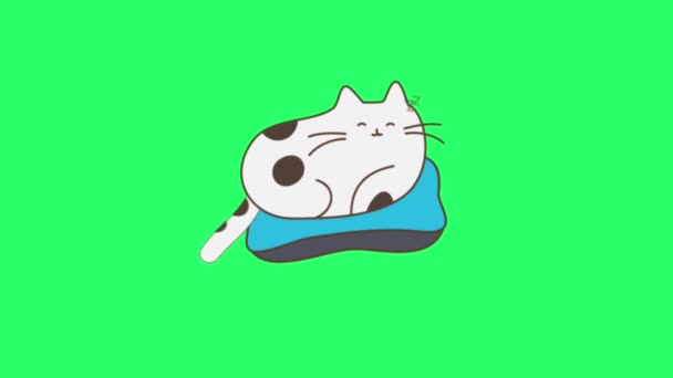 Yeşil Arka Planda Animasyon Aktivitesi Sevimli Kedi — Stok video