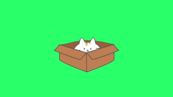 アニメーションアクティビティ 緑の背景にかわいい猫 — ストック動画