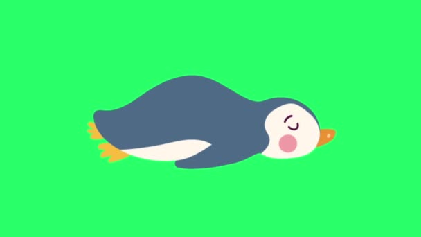 Анімаційна Активність Милий Пінгвін Зеленому Фоні — стокове відео