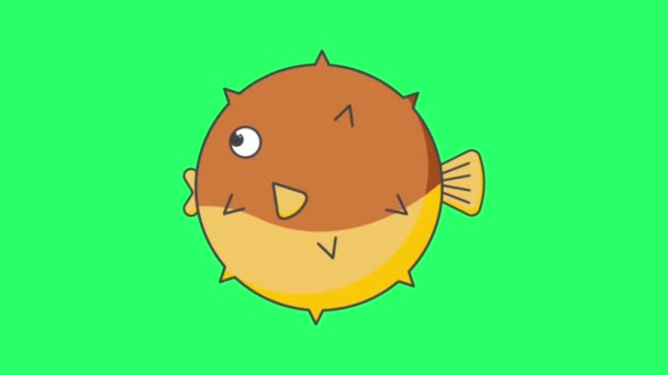 绿色背景下的动画橙色河豚 — 图库视频影像