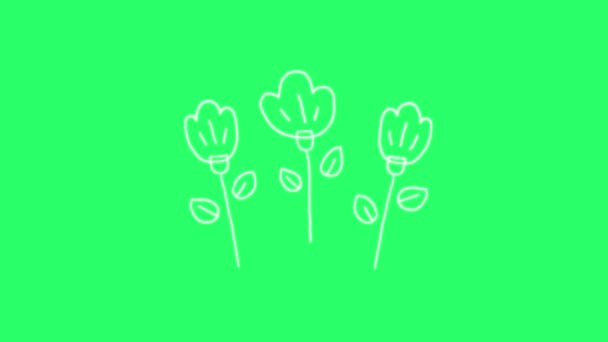 Animation White Simple Lines Shape Flower Green Background — Stock Video