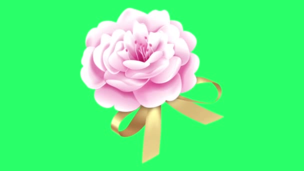 Ρεαλιστικό Ροζ Τριαντάφυλλο Πράσινο Φόντο — Αρχείο Βίντεο