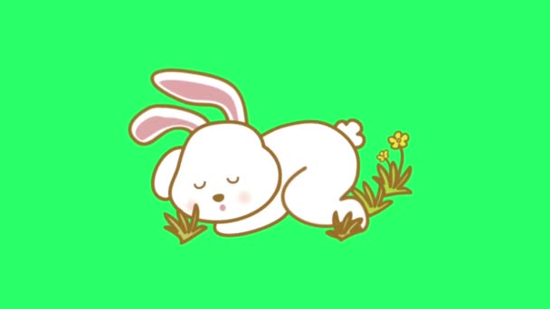 アニメーション 緑の背景に白くかわいいウサギ — ストック動画