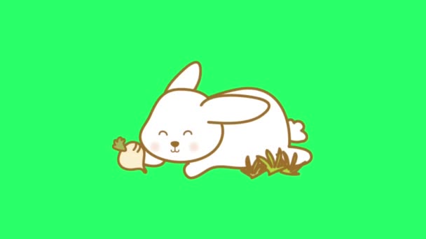Animación Blanca Lindo Conejo Sobre Fondo Verde — Vídeos de Stock